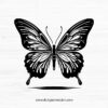 Butterfly SVG