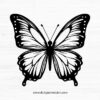 Butterfly SVG