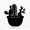 Cactus Silhouette V.10