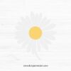 Daisy SVG