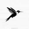 Hummingbird SVG