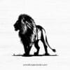 Lion Silouette V.7