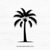 Palmetto Tree SVG