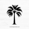 Palmetto Tree SVG