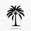 Palmetto Tree SVG