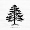 Pine Tree SVG