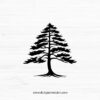 Pine Tree SVG