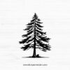 Pine Tree SVG