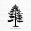 Pine Tree SVG