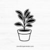 Plant SVG