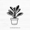 Plant SVG