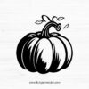 Pumpkin SVG