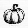 Pumpkin SVG