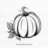 Pumpkin SVG