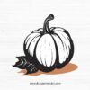 Pumpkin SVG