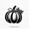 Pumpkin SVG