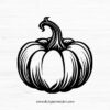 Pumpkin SVG