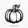 Pumpkin SVG