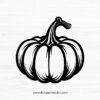 Pumpkin SVG