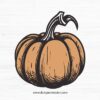 Pumpkin SVG