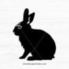 Rabbit Silhouette V.3