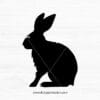 Rabbit Silhouette V.8