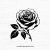 Rose SVG