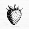 Strawberry SVG